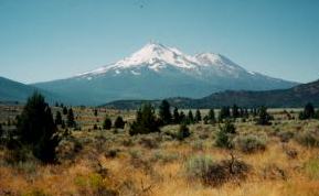 Shasta image