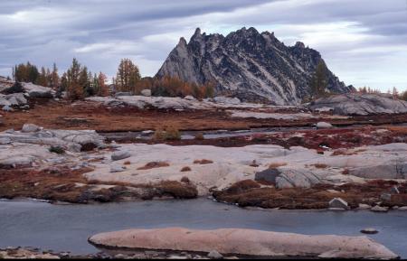 High Priest from upper basin